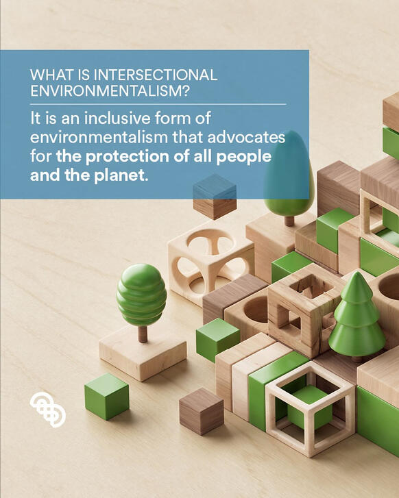 intersectional intersectional